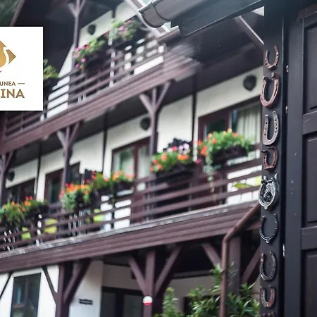 Marina Guest house 3*